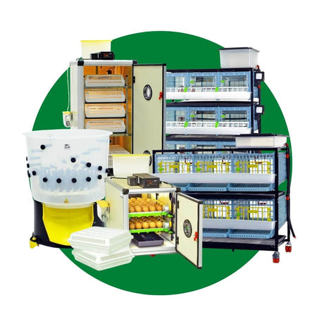 Hatching Time Cimuka. Incubator, brooder, cage, feather plucker all seen in image to show variety of items in starter kits for end to end poultry keeping