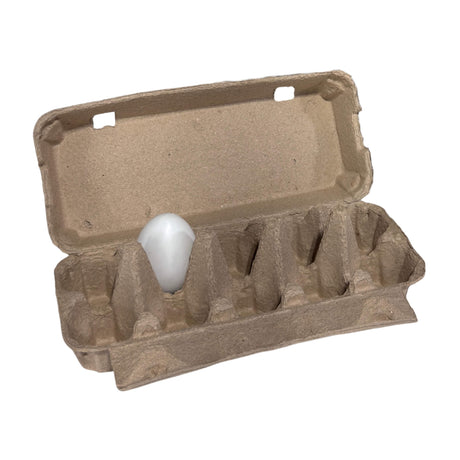 10 egg Cardboard egg carton with a single white egg on a white background