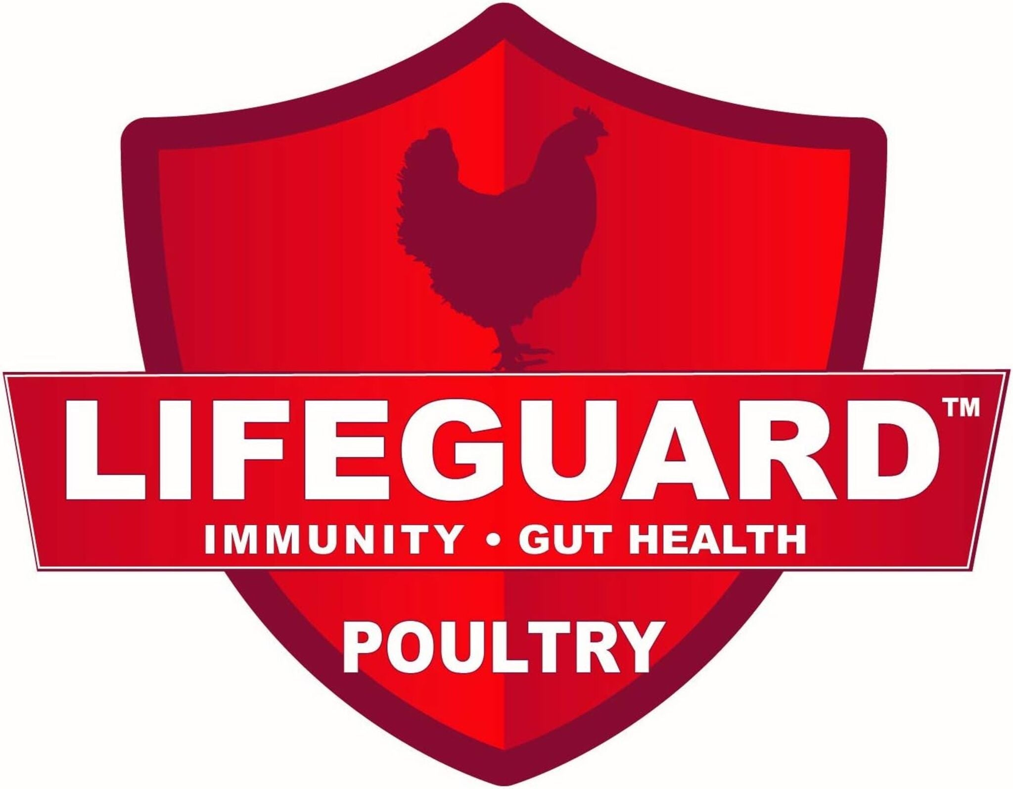 Hatching Time Kalmbach Feeds. 20% Flock Maker All Natural. Lifeguard Immunity and Gut health brand logo.