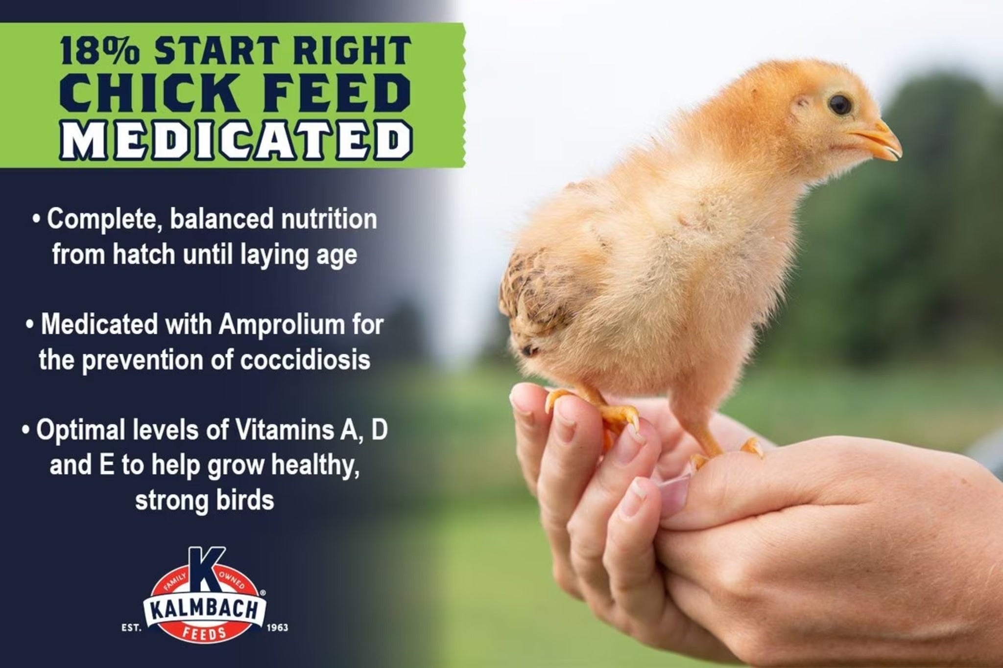 Hatching Time Kalmbach Feeds. 18% Start right chick feed Medicated. A chick can be seen standing on a persons hand.