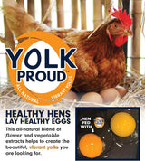 Hatching Time Kalmbach feeds. Yolk Proud logo can be seen in image in front of chicken.