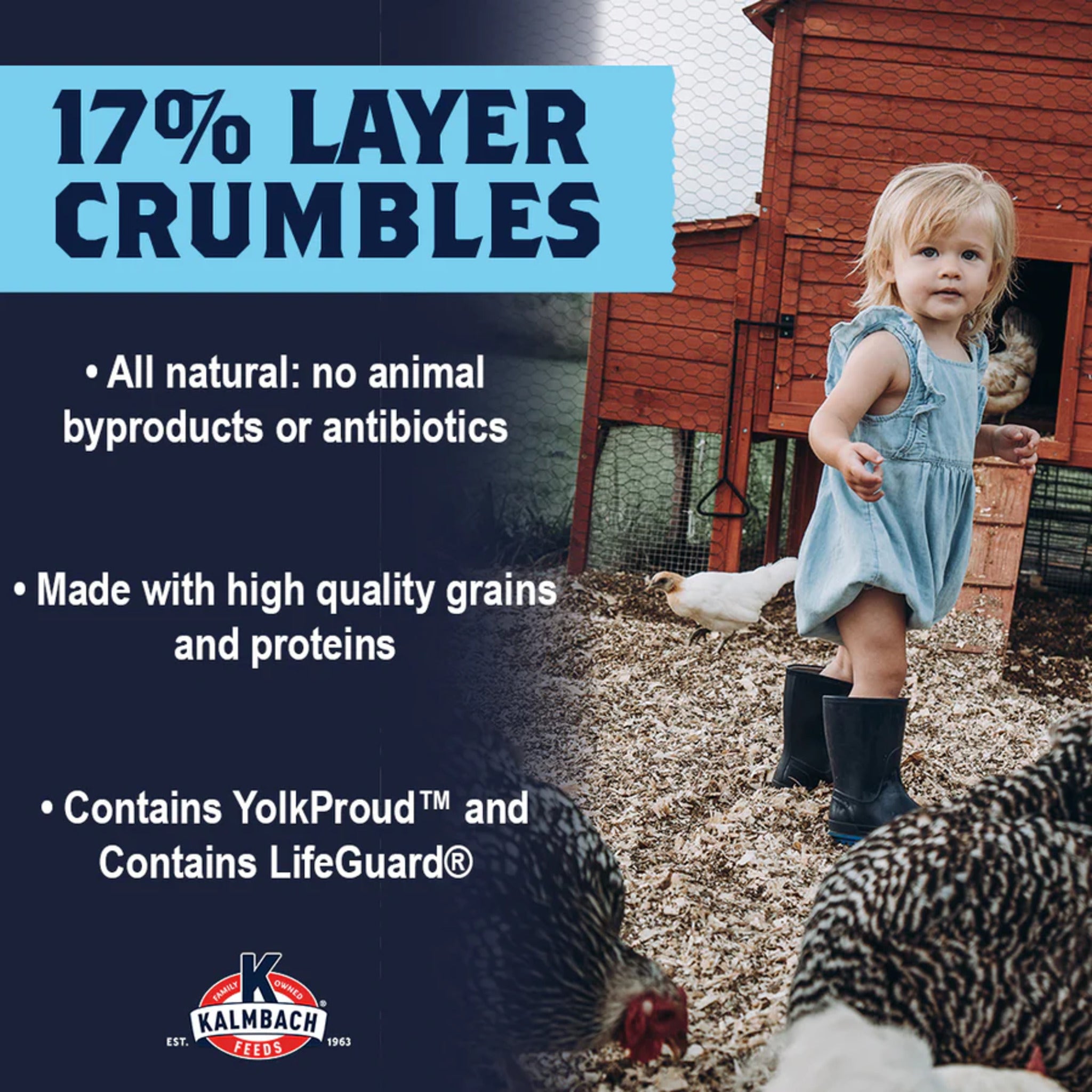 Hatching Time Kalmbach Feeds. 17% Layer Crumbles. A little girl can be seen around chickens. 