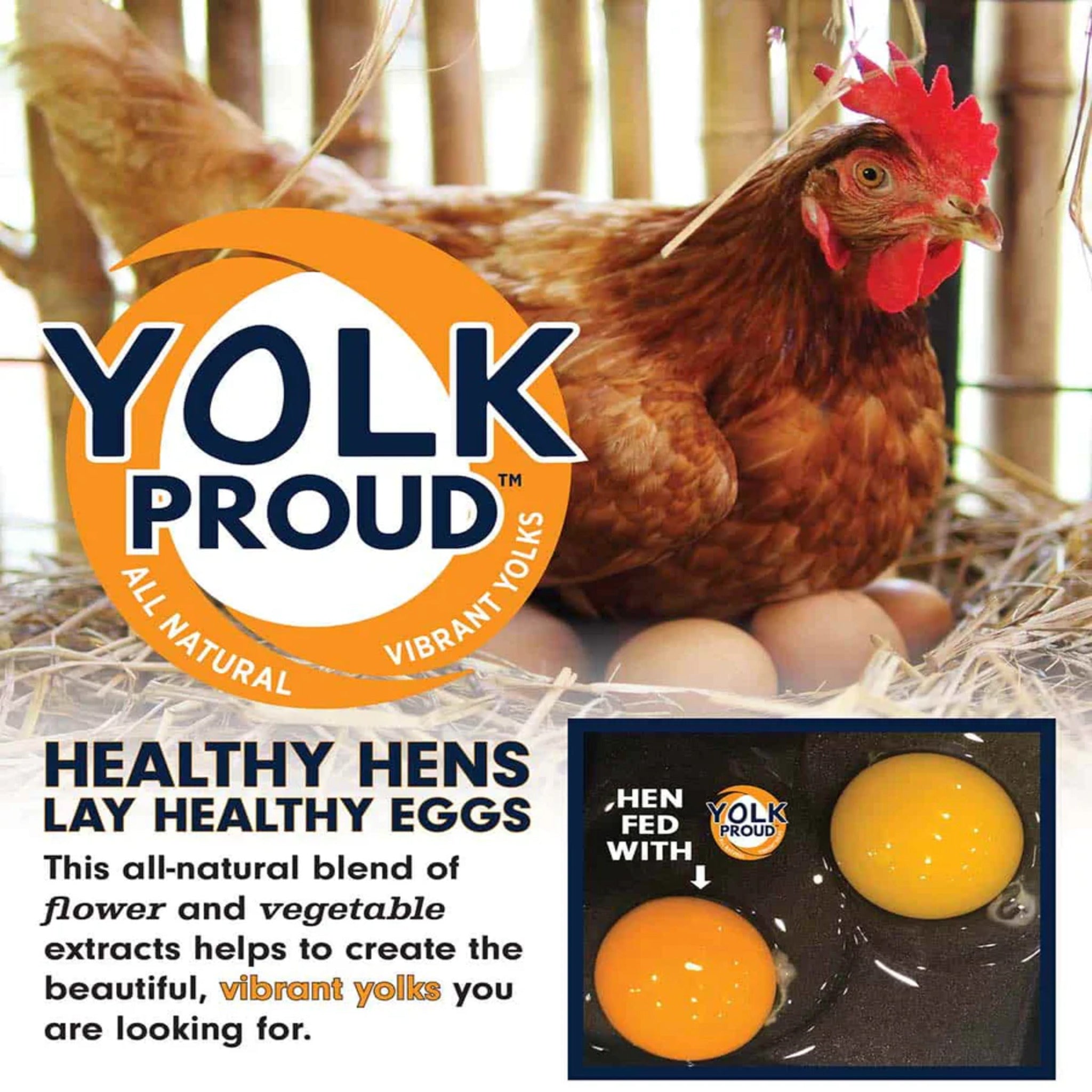 Hatching Time Kalmbach Feeds. 17% Layer Crumbles. Yolk Proud product shows healthy hens lay healthy eggs. A chicken can be see laying on brown eggs.