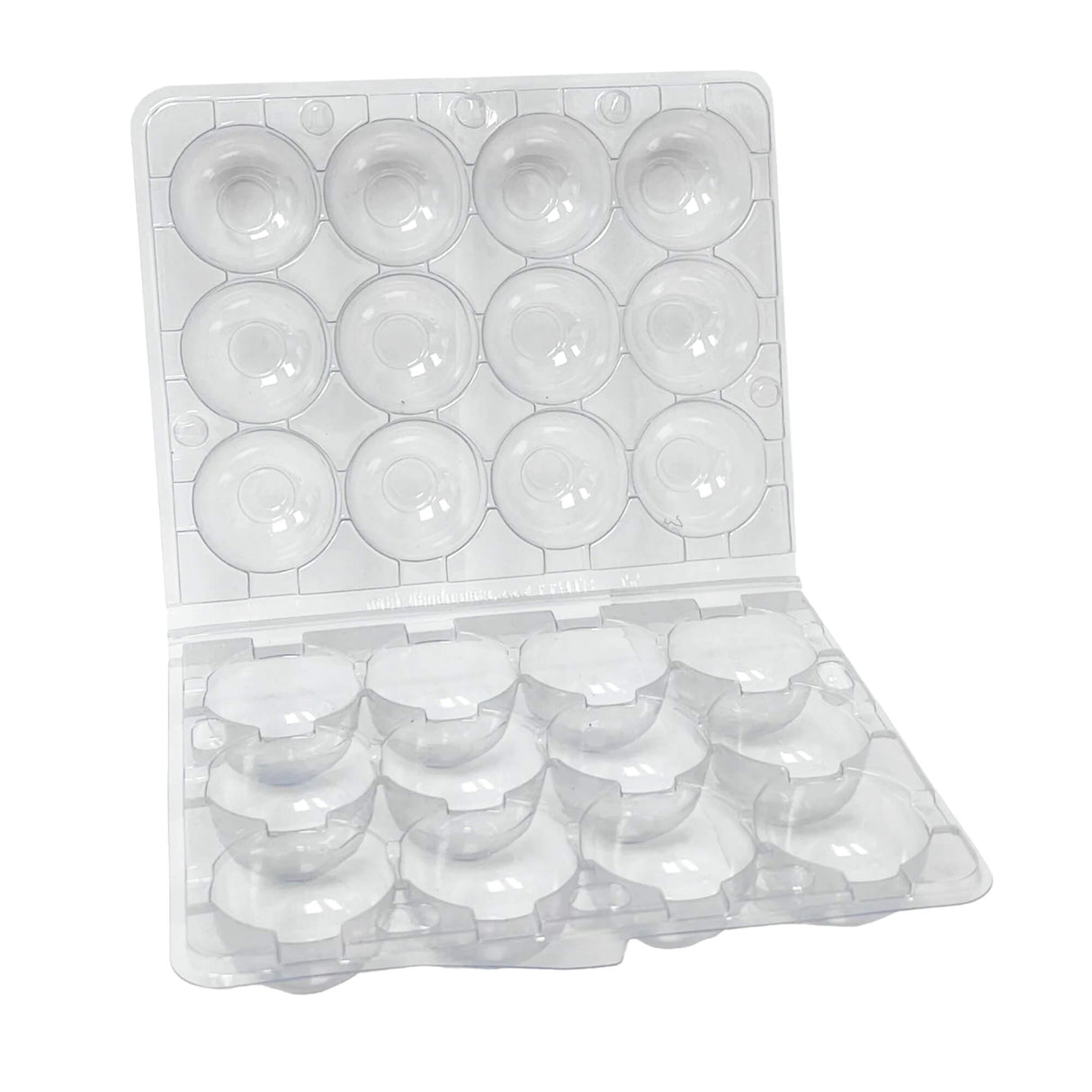 hatching time egg carton for 12 quail eggs on white background
