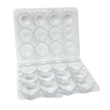 hatching time egg carton for 12 quail eggs on white background