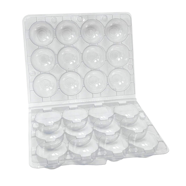 hatching time egg carton for 12 quail eggs on white background