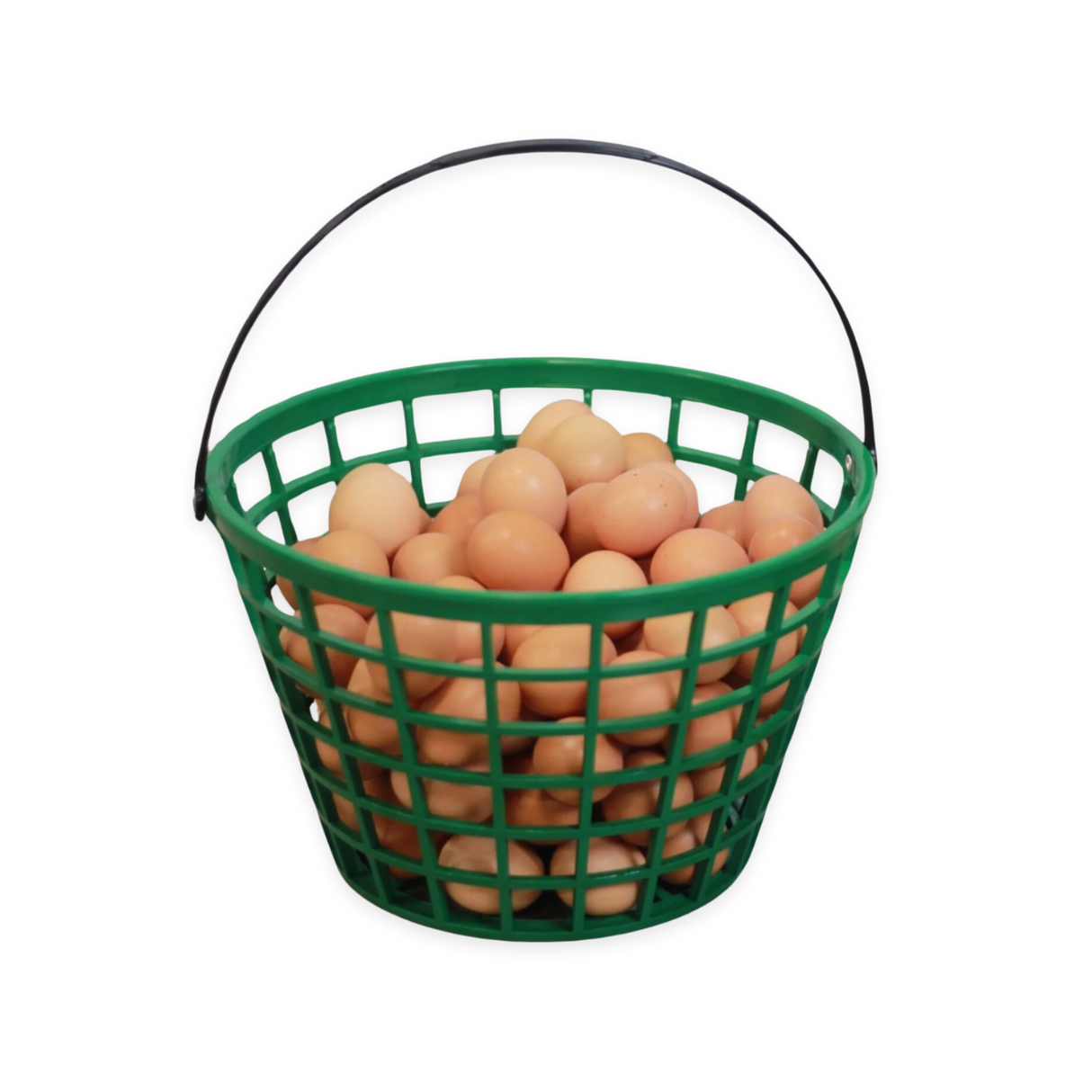 Hatching Time. EZ gather egg basket shown filled with eggs.