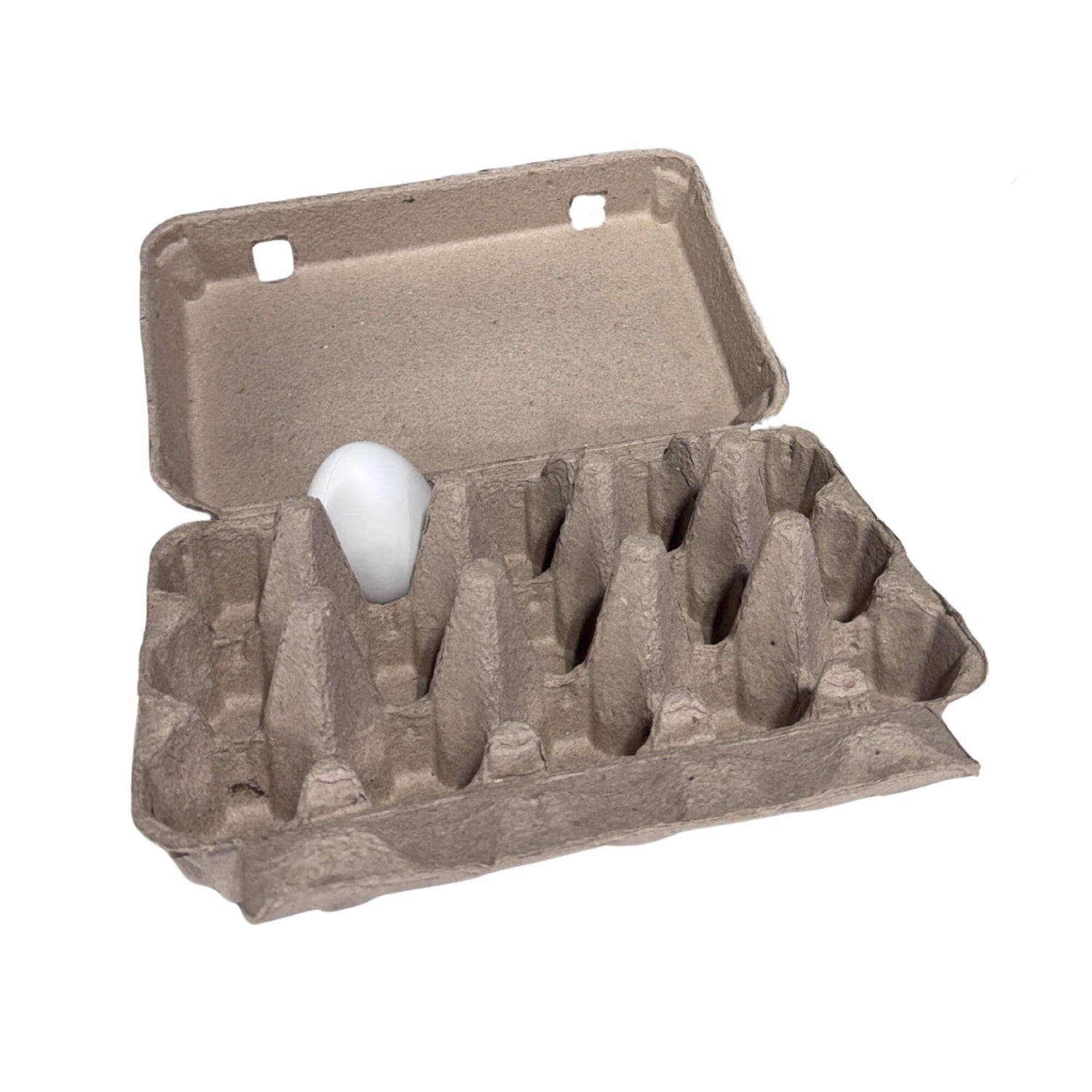 Cardboard egg carton with a single white egg on a white background with 15 spots.