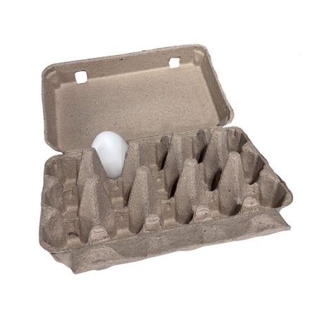 Cardboard egg carton with a single white egg on a white background with 15 spots.