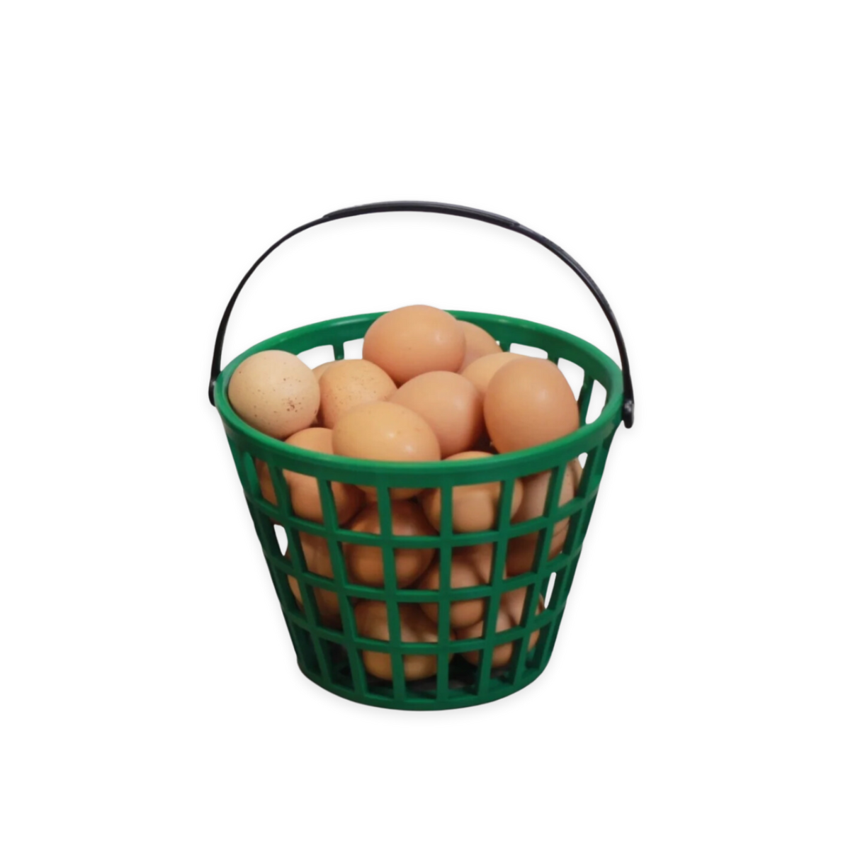 Hatching Time. Small ezgather egg basket shown filled with eggs.