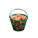 Hatching Time. Small ezgather egg basket shown filled with eggs.