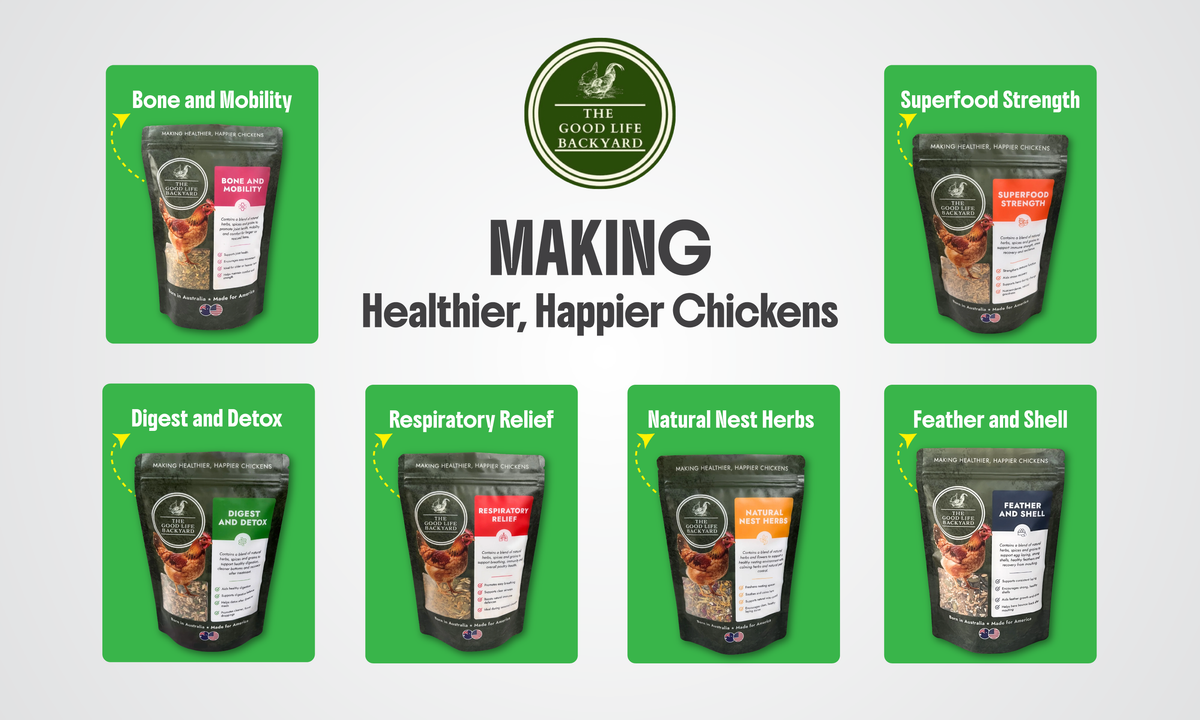 Innovative Poultry Equipment For Poultry Lovers – Hatching Time