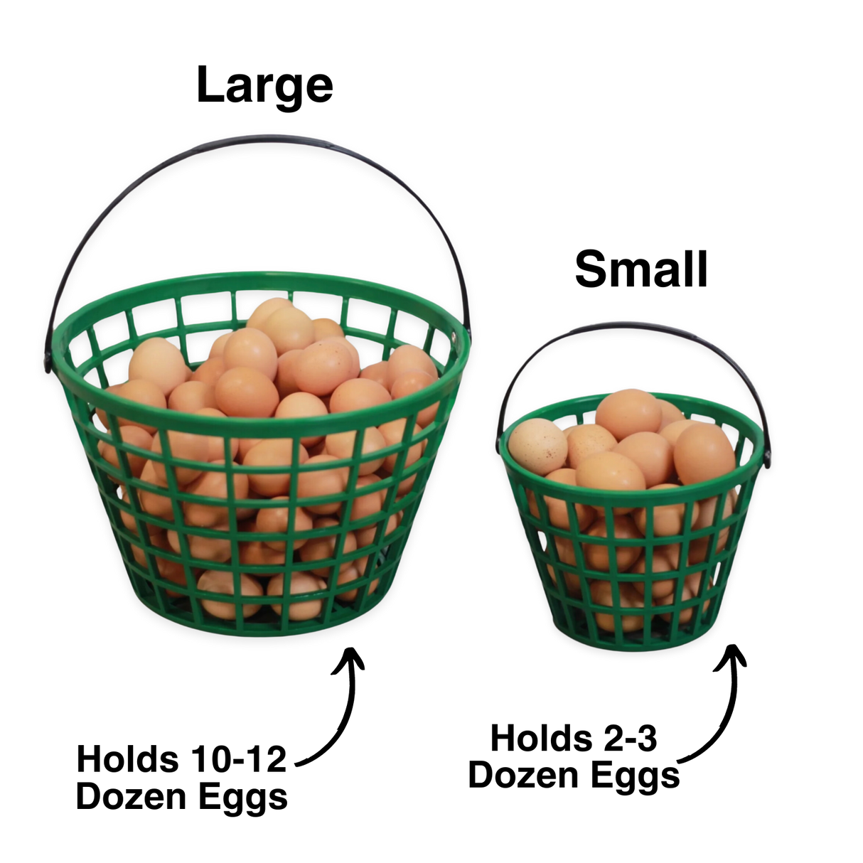 Hatching Time EZ gather egg basket large and small sizes shown filled with eggs.