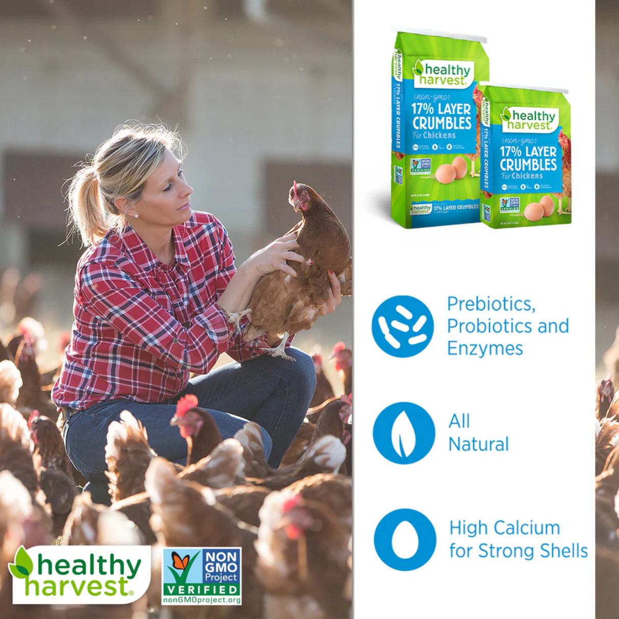 Hatching Time Healthy Harvest. 17% layer crumbles bags can be seen in image next to a woman holding a chicken among a group of more chickens.