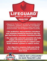 Hatching Time Kalmbach Feeds. 18% Start right chick feed Medicated. Lifeguard Immunity and gut health statement.