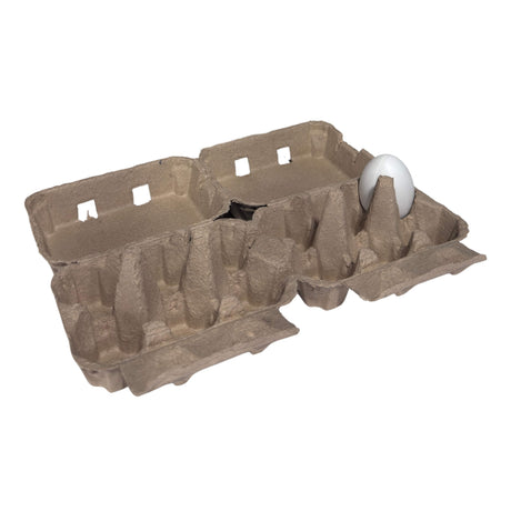 Cardboard egg carton with a single white egg on a white background
