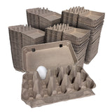 Stacks of brown egg cartons with a single white egg on a white background
