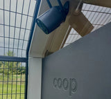 Hatching Time. Coopcam can be seen installed on chicken coop facing chicken run.