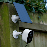 Hatching Time Nestera. Solar panel and camera can be seen mounted on exterior wooden post.