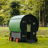 Hatching Time Nestera.  The Wagon Chicken Coop can be seen on grass with chicken door open.