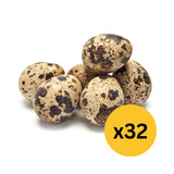 Hatching Eggs: Quail (Coturnix Jumbo)