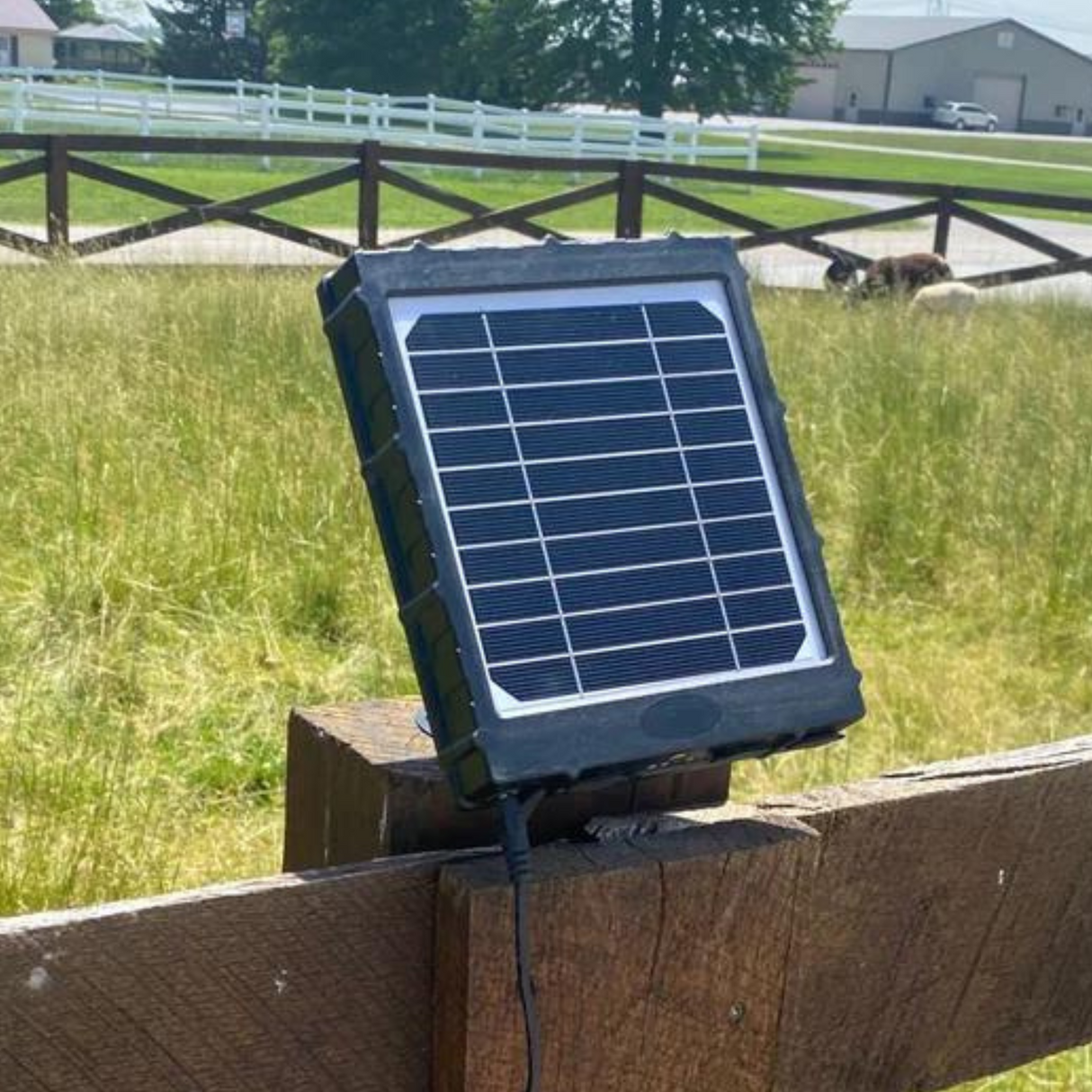 Hatching Time. Solar Panel Mounted to fence