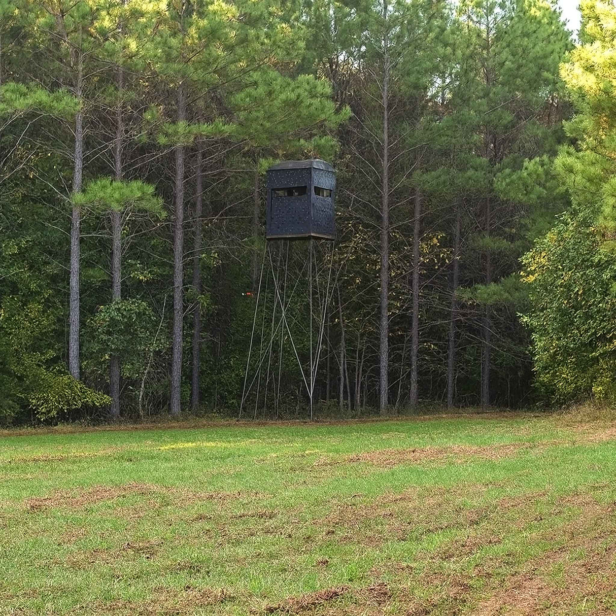 4x4 Hunting Blind surrounded by trees
