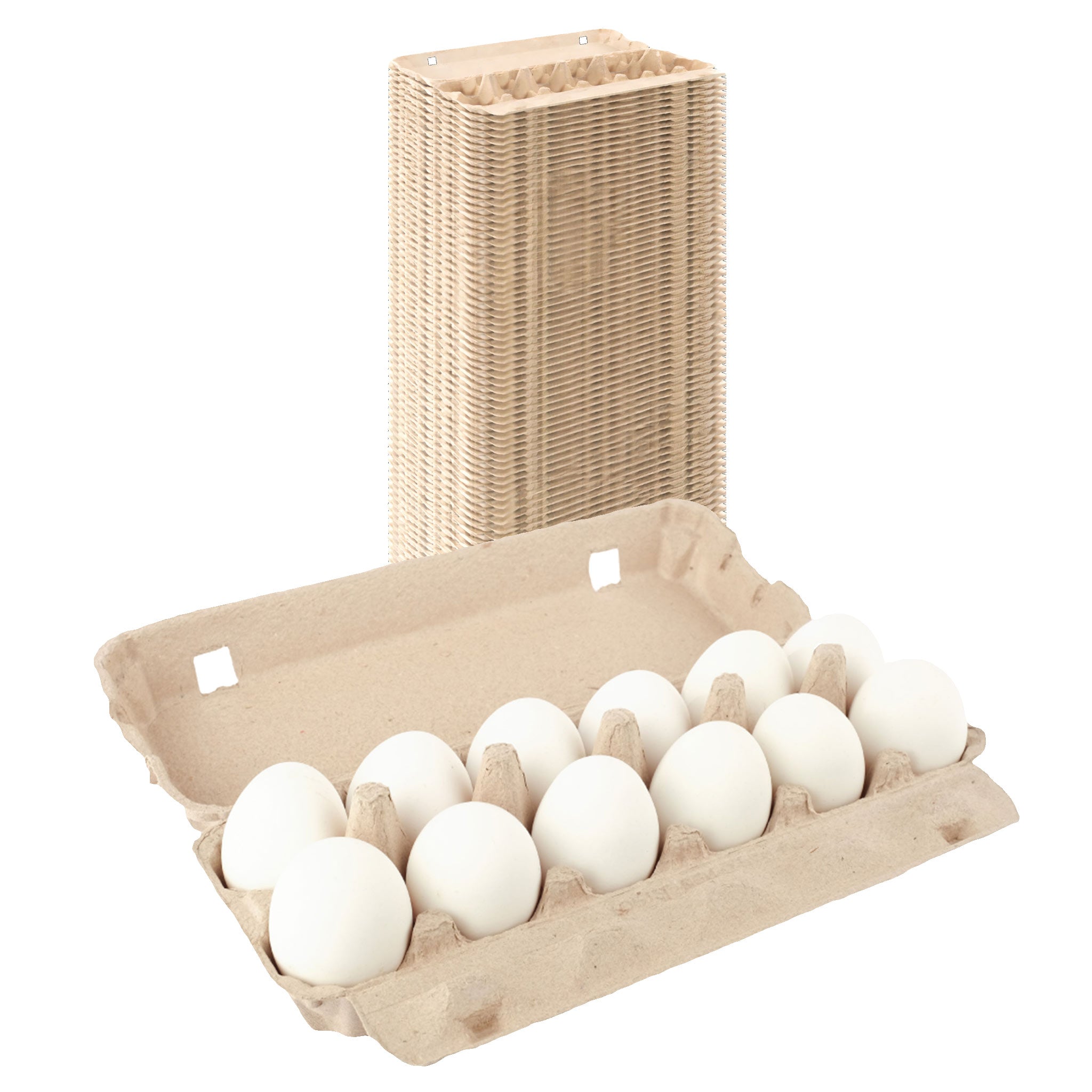 12-Egg Carton - Natural Pulp Flat Top | Hatching Time