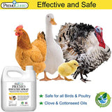 Hatching Time Premo Guard. Infographic with Chicken, Duck, chick and Turkey to show variety of poultry it's useful for. Text reads safe for all birds and poultry. Made form Clove & Cottonseed oils.