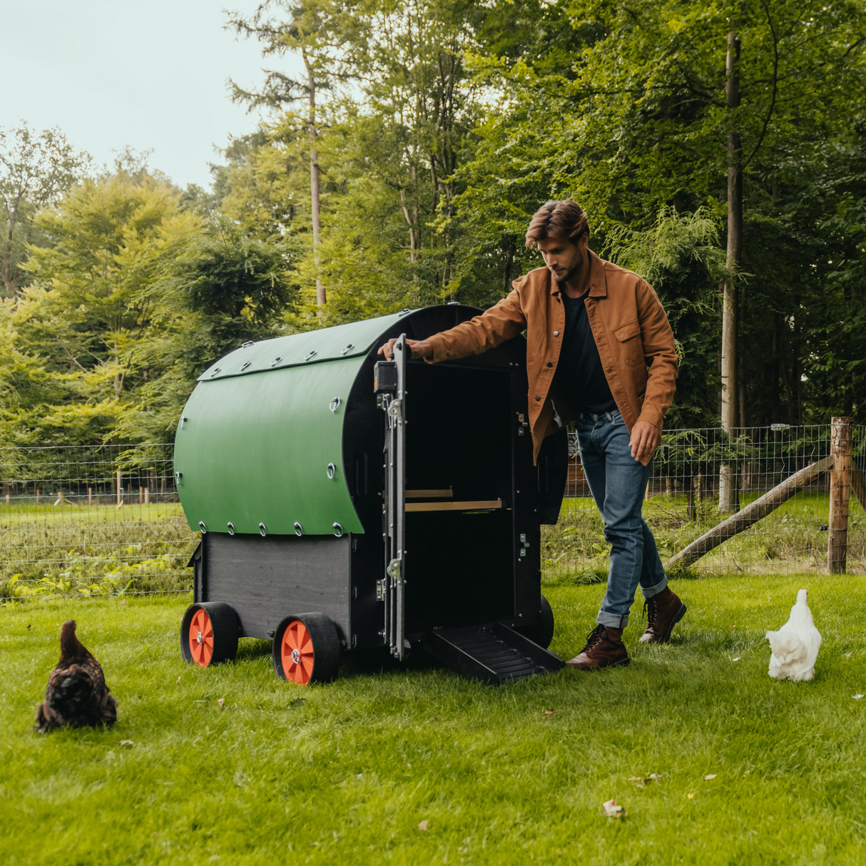 Hatching Time Nestera. Image shows a man opening main door to The Wagon chicken coop. 2 chickens are in the grass by the coop.