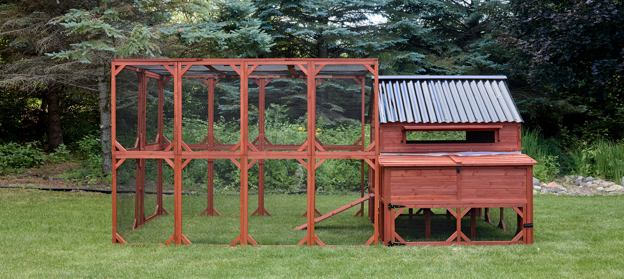 Chicken Coop for 15-18 Chickens - Brahma Large Coop w/ Run Options