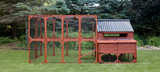 Chicken Coop for 15-18 Chickens - Brahma Large Coop w/ Run Options