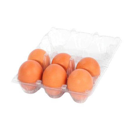 Clear plastic container with six brown eggs on a white background