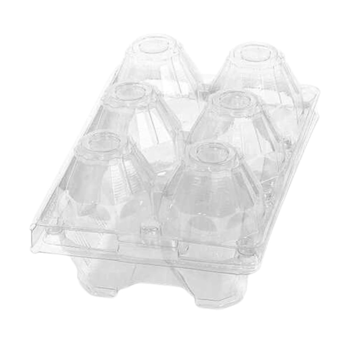 Clear plastic egg carton on a white background