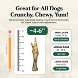 Chicken Feet - Dog Treats