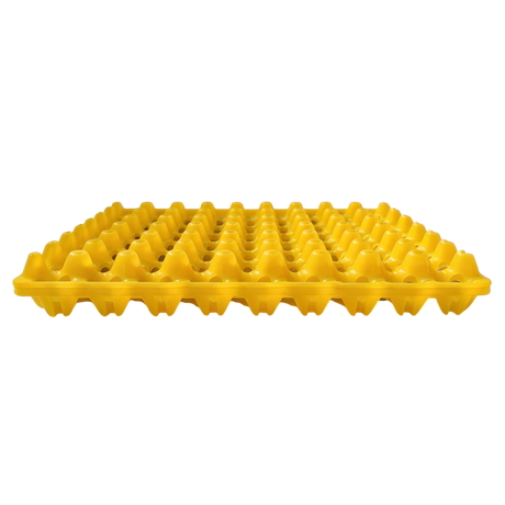 Egg Setter Tray - 72 Quail