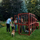 Chicken Coop for 10 Chickens - Rhode Island Homestead w/ Run Options