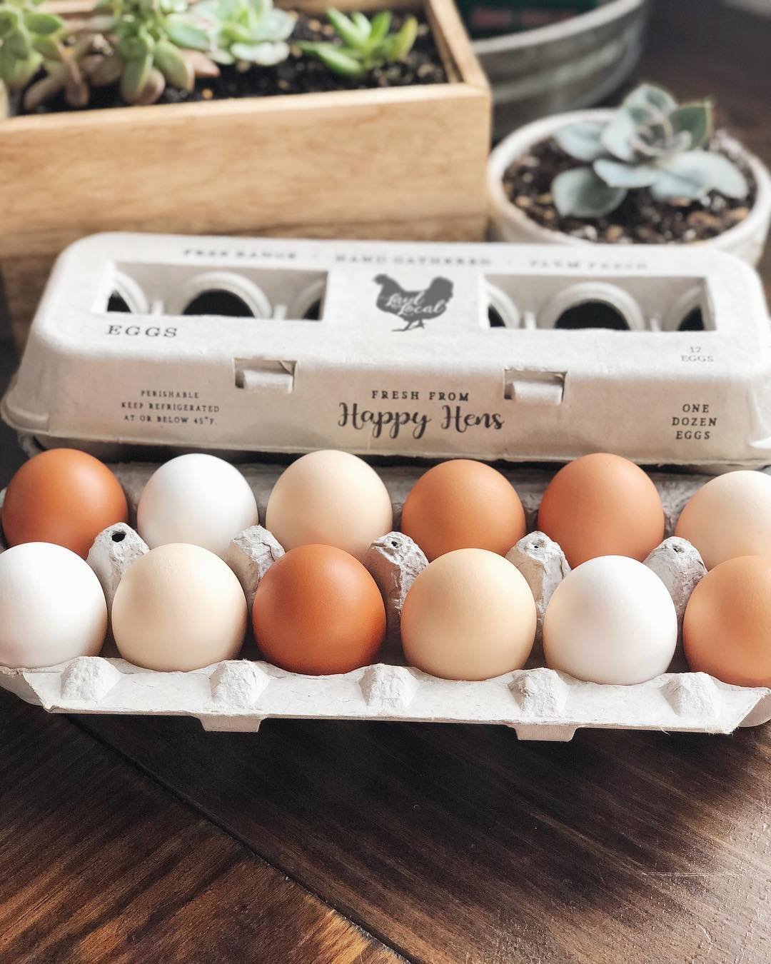 Hatching Time Henlay Egg Carton pre-marked with free range, hand gathered, farm fresh and laid local branding.