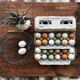 Hatching Time Henlay Egg Carton pre-marked with free range, hand gathered, farm fresh on table next to egg basket and vase.