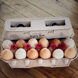 Hatching Time Henlay Egg Carton pre-marked with free range, hand gathered, farm fresh branding shown with carton full of eggs and flowers.