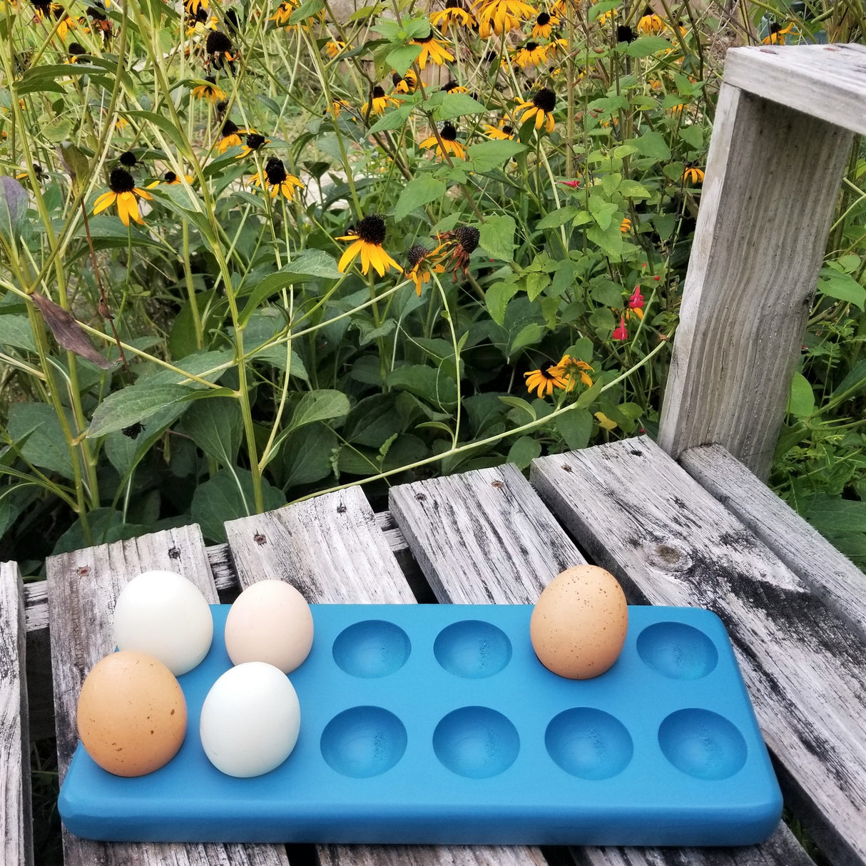 Hatching Time. Henlay Decorative Blue Egg Tray shown on bench by flowers with 5 eggs.