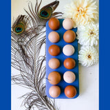 Hatching Time. Henlay Decorative Blue Egg Tray shown filled with 12 brown eggs by a peacock feather and flowers.