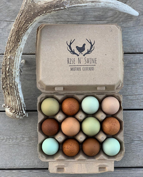 Hatching Time. Henlay Vintage white 12ct chicken egg cartons shown filled with a Farm Stamp on a table by a deer antler.