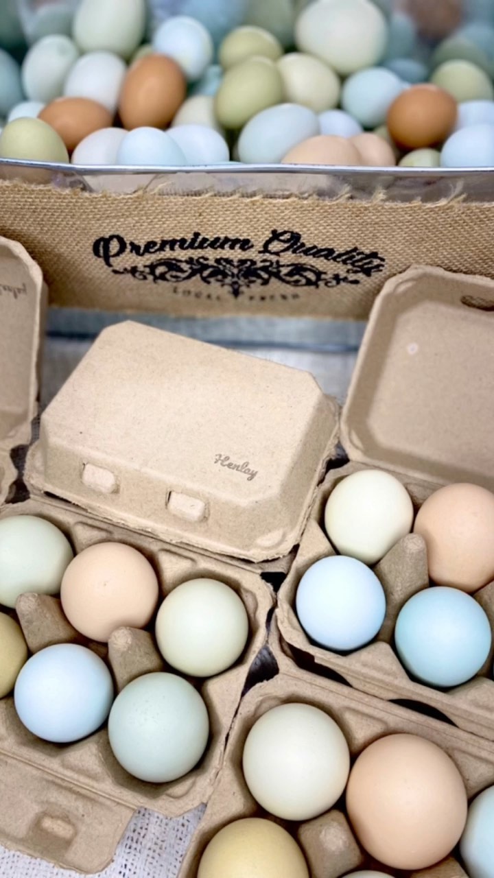 Hatching Time Henlay Blank half dozen egg cartons shown filled with eggs by an egg basket.