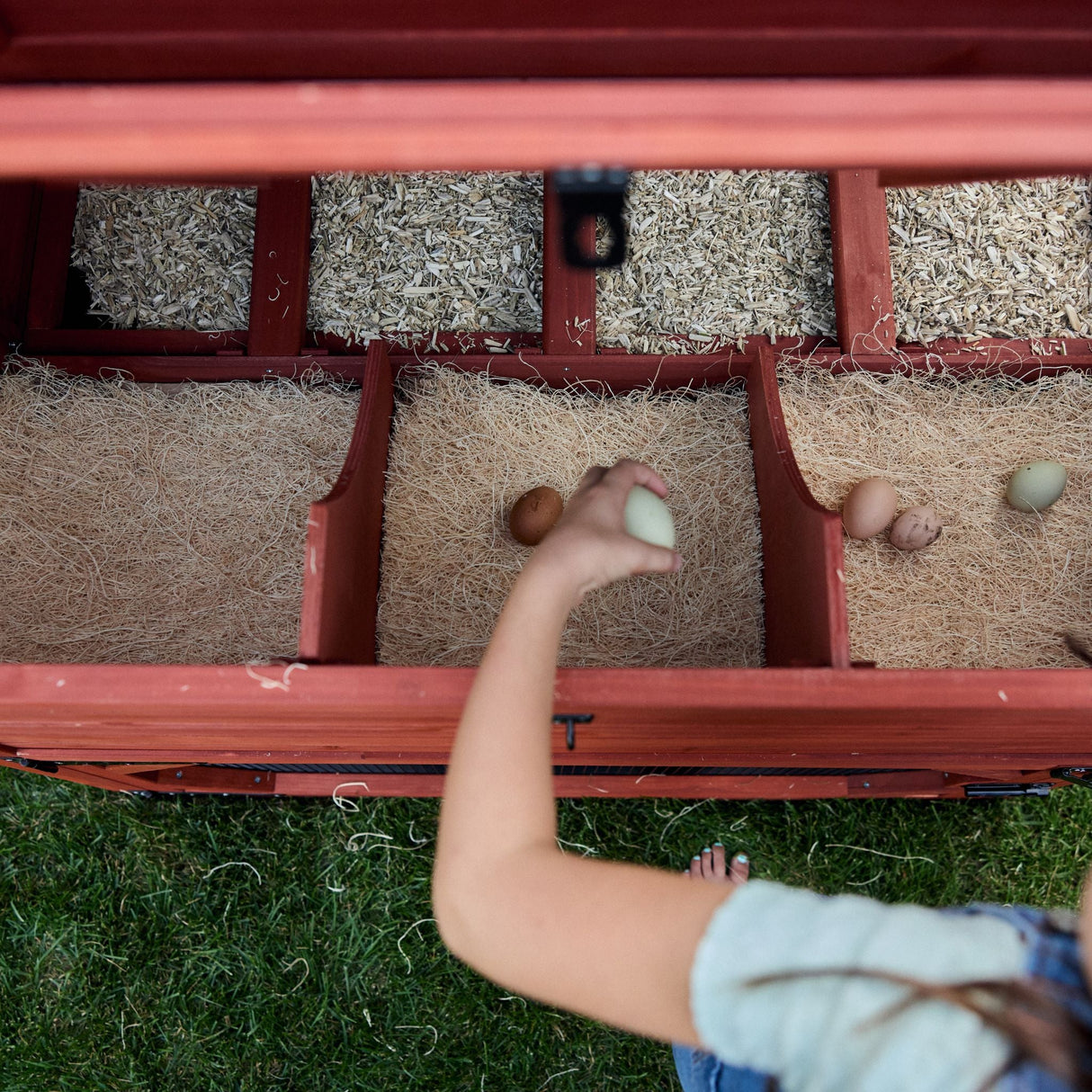 Chicken Coop for 10 Chickens - Rhode Island Homestead w/ Run Options