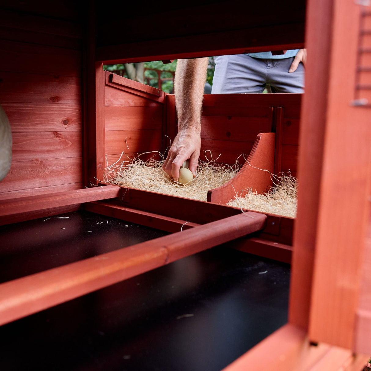 Chicken Coop for 4 Chickens - Leghorn Cottage Backyard Coop
