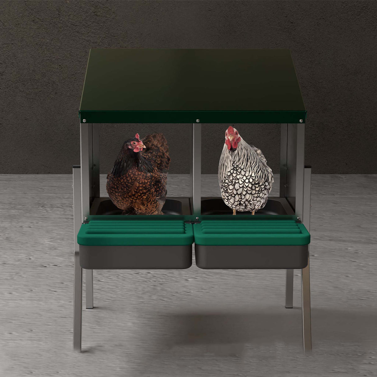 Two hens sitting inside EggHouse galvanized 2-bay roll-out nesting box with green roof and removable egg trays
