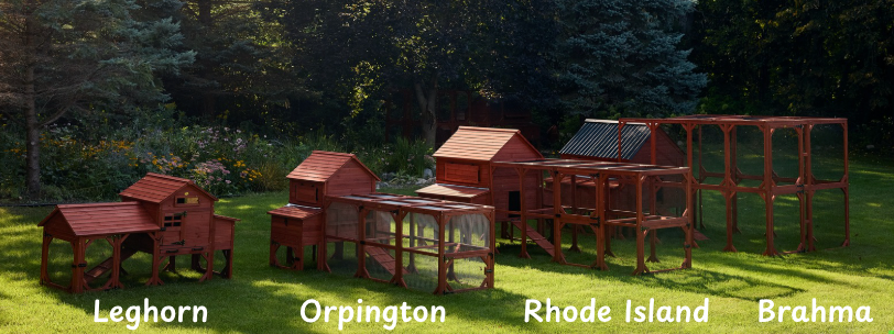 Chicken Coop for 15-18 Chickens - Brahma Large Coop w/ Run Options