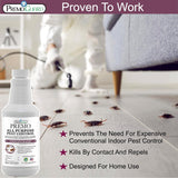 Hatching Time Premo. All Purpost pest control concentrate Roaches can be seen on floor being sprayed.