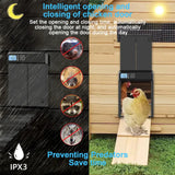 Hatching Time. Automatic Coop Door can be seen in day and night settings showing he predator prevention benefits of an automatic coop door. IPX3 Rating can be seen in bottom left of image. 